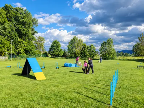 Poligon s tunelom in ovirami